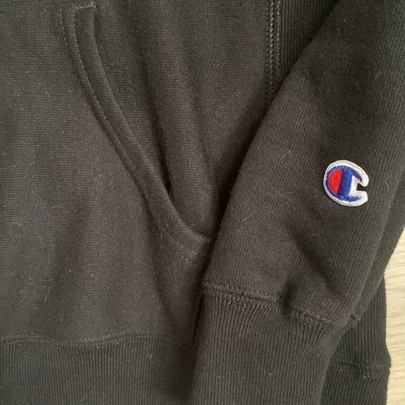 NWOT Champion Reverse Double Weave Hoodie - Picture 3 of 4